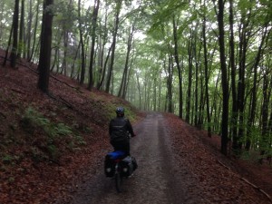 Zo donker als de nacht in de bossen bij Gemünd