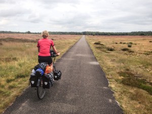 De grote stille heide bij St. Anthonis