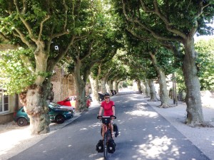 fietsen onder de platanen.... Hoe Frans kan het zijn?