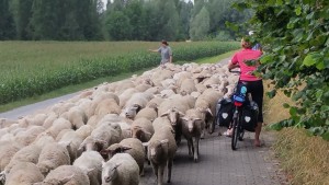 File op de weg naar Leverkusen