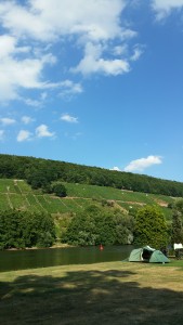 uitzicht op de heuvels langs de Main, vanaf camping Mainruh. Zie je ons tentje staan?