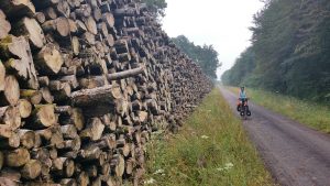 Gigantische boskapwerkzaamhexen die we onderweg tegenkomen