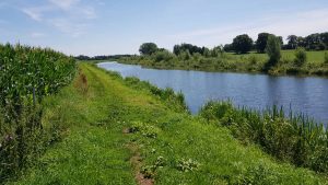 Landschap langs de Berkel