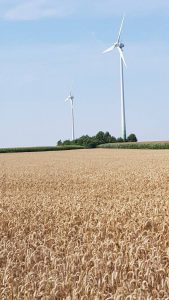 Het Munsterland: heel veel landbouw. Wel mooi!