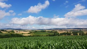 R1 Radweg Harz