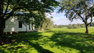 Prachtige natuur bij Dessau