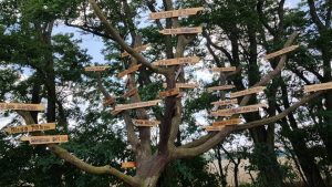 Kunt u mij de weg naar ..... vertellen..?