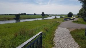 Uiterwaarden langs de Elbe radweg